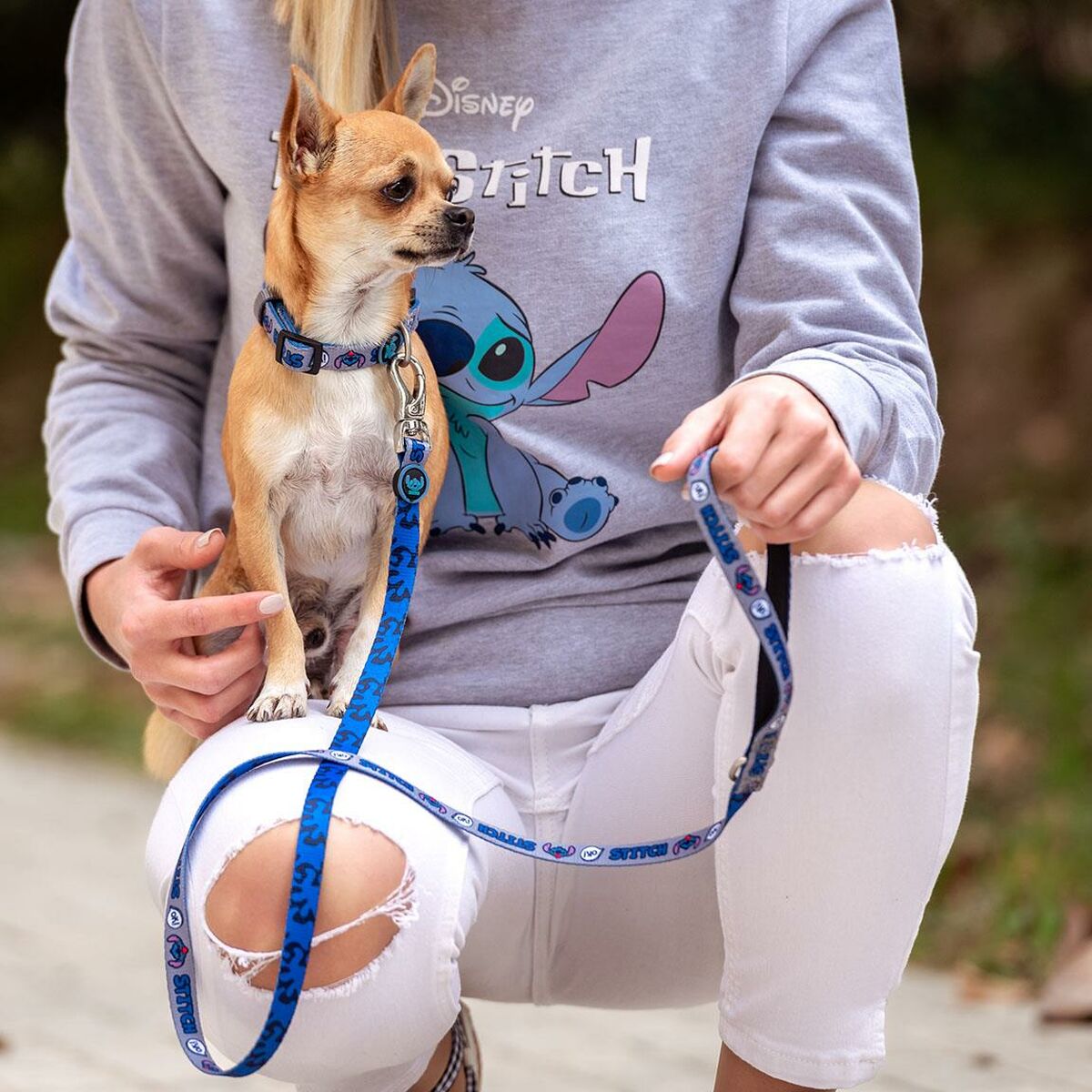Hundebly Stitch Grå Blå M